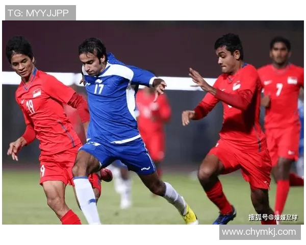 新加坡与阿根廷精彩对决录像回放分析及精彩瞬间集锦